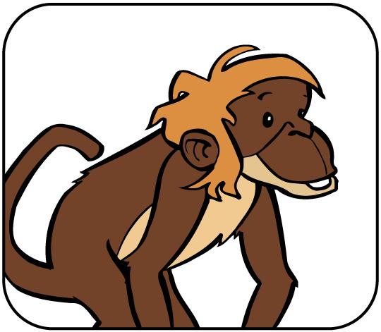 AFFE DER